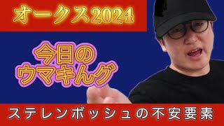 オークス２０２４　1番人気ステレンボッシュの不安要素を講義します。