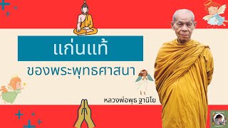 แก่นแท้ของพระพุทธศาสนา หลวงพ่อพุธ ฐานิโย