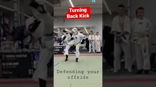 #KUDO - Turning Back Kick Defence #mma #gkadojo