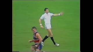 FNWB.com.au - 1988 0618, Rd 1222 Footscray v Geelong HSV 7