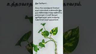 இது தெரியுமா...