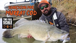 Searching for MURRAY COD | The Full Scale