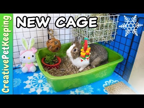 How to build a CHEAP DIY Rabbit Cage | Winter Theme How to build a CHEAP DIY Rabbit Cage | Winter Theme