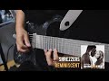 Shrezzers - Reminiscent / Guitar Cover / Etherial Guitars