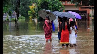 HEAVY RAIN |KERALA FLOODS 2019 | പുഴക്കൽ പാടം |മുല്ലശ്ശേരി കനാൽ-അയ്യപ്പം കുടം ഭാഗം|തൃശ്ശൂർ