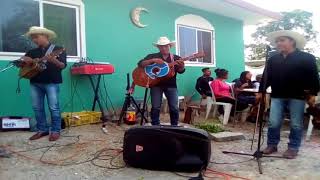 Trio Suspiro Huasteco de El Gavilán Ixcatepec Veracruz 2018 No. 3