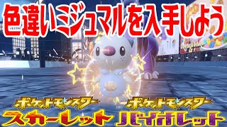 【ポケモンSV】色違いミジュマルを入手しよう タマゴふか(タマゴ孵化)【ポケットモンスター スカーレット・バイオレット】Pocket Monsters