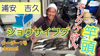 浦安吉久さんでショウサイフグ釣り(５月２５日)