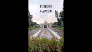 Beautiful garden near Chandigarh | Chandigarh tourist places