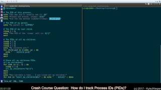 How to Get Process IDs in Shell Scripts