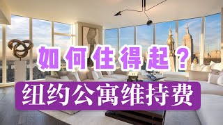 如何住得起？纽约公寓维持费怎样才算合理！#安家纽约陈东