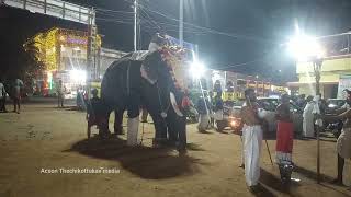 ചീരക്കുഴി പള്ളിവേട്ട തിടമ്പ് തെച്ചിക്കോട്ടുകാവ് ദേവീദാസൻ 2/2/2025 🥰😘🙏🙏🙏