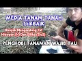 Media Tanah Terbaik Untuk Tanaman _ Kebun Langit