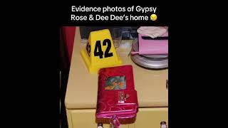 Gypsy Rose Blanchard evidence photos 😥
