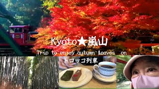 #74 Kyoto☆嵐山 🚃トロッコ列車で紅葉を楽しむ旅🍁【竹林の小径】