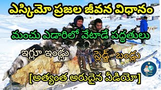 ఎస్కిమో ప్రజల వేటాడే విధానం || ESKIMO HUNTING || @klknowledgehub8821