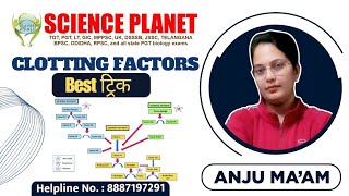 CLOTTING FACTOR II BLOOD CLOTTING FACTOR  II BY ANJU MAM II SCIENCE PLANET II