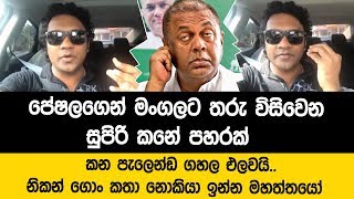 මාමෙ ගොං කතා නොකිය ඉතිහාසය ඉගෙන ගමුද? පේෂලගෙන් මංගලට සුපිරි කනේ පහරක්