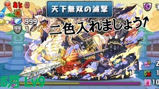 【パズドラ】 5月チャレンジダンジョン Lv9