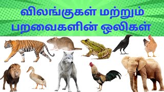 விலங்குகள் மற்றும் பறவைகள் ஒலிகள்|Animal and bird sounds in tamil| Kids learn animal and birds sound