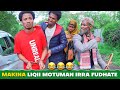 Obsinan Tv | Obsinan Makina Liqii Motuman Irra Fudhate🤣🤣🤣 | New Diraamaa Afaan Oromo