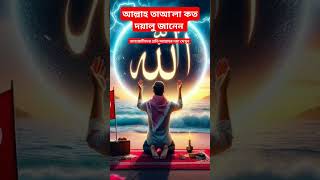 আল্লাহ তাআ'লা কত দয়ালু জানেন কি? #islamicfacts #trendingshorts #waz #islamicvideo #allah #motivation