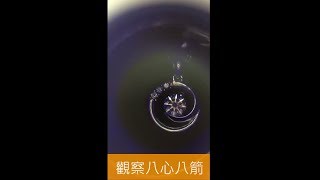 喬安環球-八心八箭的觀察