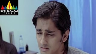Oye Telugu Movie Part 13/13 | Siddharth, Shamili | Sri Balaji Video