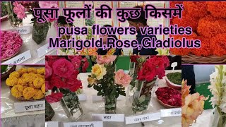 पूसा फूलों की कुछ किसमें|pusa flowers varieties, marigold,Rose, Gladiolus|पूसा कृषि विज्ञान मेला2023