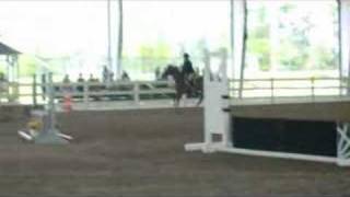 June 8th Horse Show