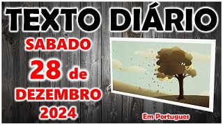 🟠 Texto diário de hoje em português ✅ SABADO 28 DEZEMBRO 2024