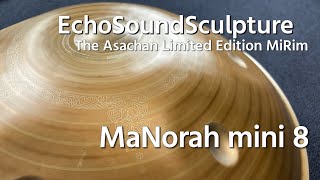 【ハンドパン販売】 EchoSoundSculptureThe Asachan Limited Edition MiRim / MaNorah mini 試奏6