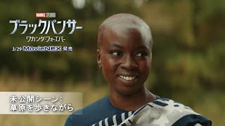 「ブラックパンサー／ワカンダ・フォーエバー」未公開シーン：草原を歩きながら