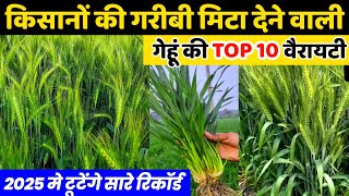 Gehu ki best variety🌾गेहूं की सबसे अधिक पैदावार देने वाली 10 वैरायटी🌱Wheat Top Variety in 2025