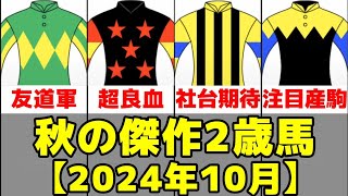 【2024年10月】新馬戦デビューする傑作2歳馬4選【キングノジョー/ナグルファル】