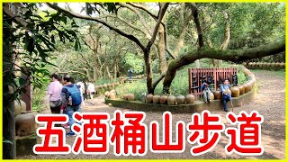 《五酒桶山步道》桃園 蘆竹 Wu-jiou-tung Mountain Trail 觀景台 遠眺飛機起降 漁船入港 一次擁有海陸空無敵視野