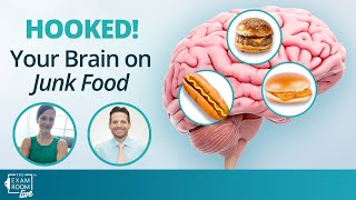 Why Your Brain Loves Junk Food | The Exam Room