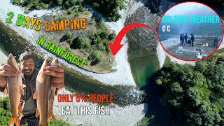 2 Days Group Camping at 0°C \u0026 Trout Fishing in Rainforest: The Quest for Legendary Trout | Part 1