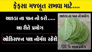 ફેફસા મજબૂત રાખવા માટે ...આકડા ના પાન નો કરો આ પ્રયોગ 100 % સફળ પ્રયોગ ઓક્સિજન પણ નોર્મલ રહેશે