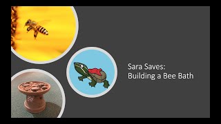Build a Bee Bath Grades 1 4