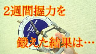 2週間握力を鍛えた結果は…