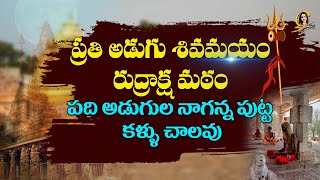 ప్రతి అడుగు శివమయం రుద్రాక్ష మఠం పది అడుగుల నాగన్న పుట్ట కళ్ళు చాలవు | Ctv Colors Of life