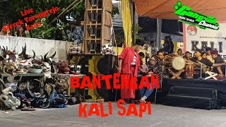 BANTENGAN KALI SAPI live KLEREK TORONGREJO BATU