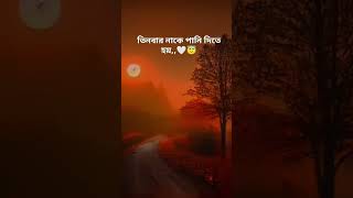 শয়তান রাত কাটায় কোথায় শুনলে অবাক হবেন#ইসলামিক_ভিড #unfrezzmyaccount #funny #comedyfilms #tiktok #