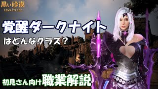 【黒い砂漠】覚醒ダークナイト -PvE解説- in パデュス駐屯地/いばらの森【職業解説】