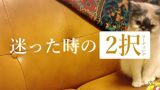 二者択一！２つの選択肢で迷っているあなたへ。最善の道はどれ？😊🌈🔮 当たるお仕事、恋愛リーディング！タロット＆オラクル＆ルノルマン占い