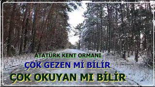 ŞEHRİN ORTASINDA SAKLI CENNET-ATATÜRK KENT ORMANI-SARIYER HACIOSMAN KORUSU.