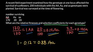 How to Find Relative Fitness and Selection Coefficient