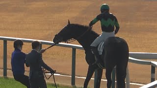 【現地撮影】2021年12月11日中京競馬8Rダブルアンコール＆吉田隼人騎手5着