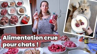 Je prépare l’alimentation crue de mes chats en 1 heure ! | Raw Feeding | BARF | Prey Model